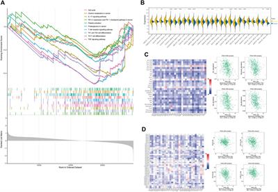 Prognostic value of PNN in prostate cancer and its correlation with therapeutic significance